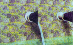 ���mʽ���z����ֹ���y